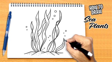 How to draw Aquatic plants.